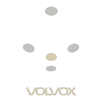 Volvox