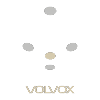 agencia de marketing digital en méxico - Volvox - Inicio