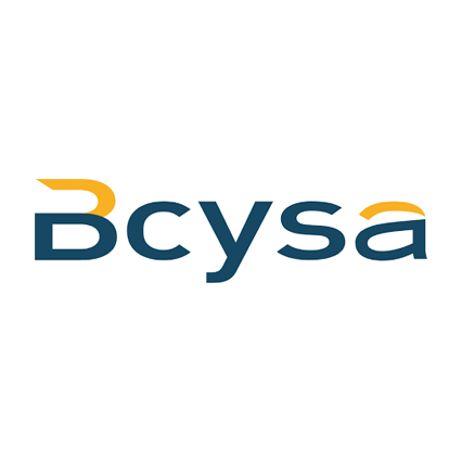 agencia de marketing digital en méxico - bcysa - Inicio