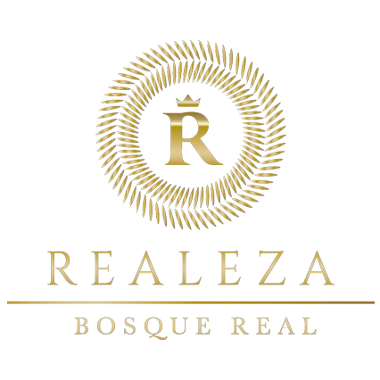 agencia de marketing digital en méxico - realeza - Inicio