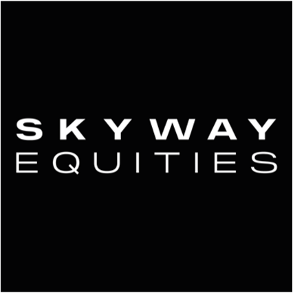 agencia de marketing digital en méxico - skyway - Inicio